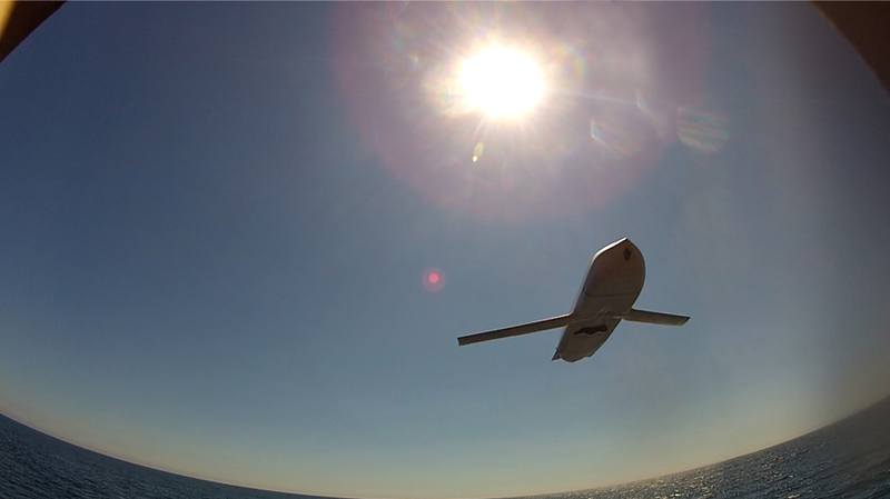 Illustration for article titled The Navy's Smart New Stealth Anti-Ship Missile Can Plan Its Own Attack